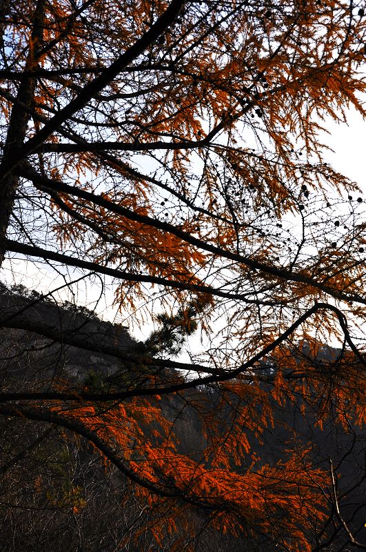 DSC_0106副本.jpg