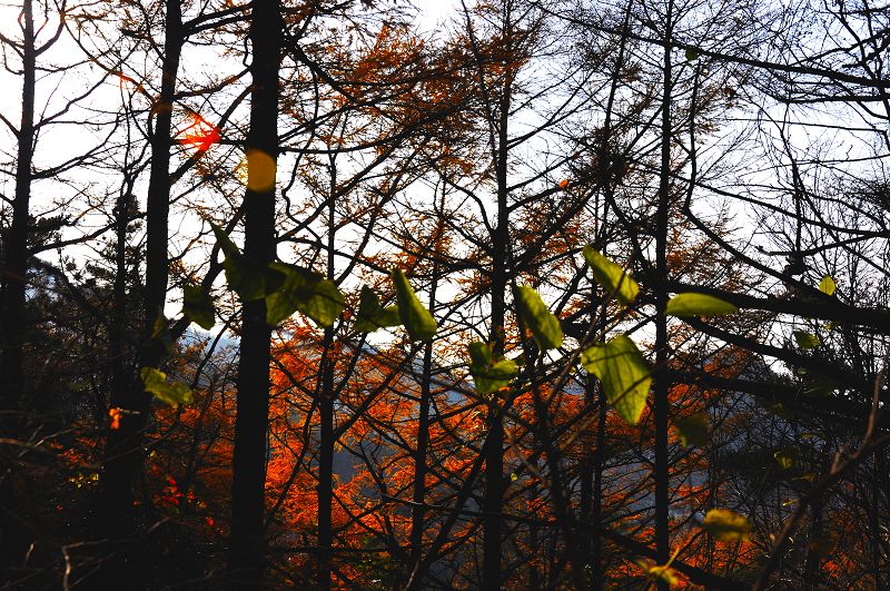 DSC_0121副本.jpg