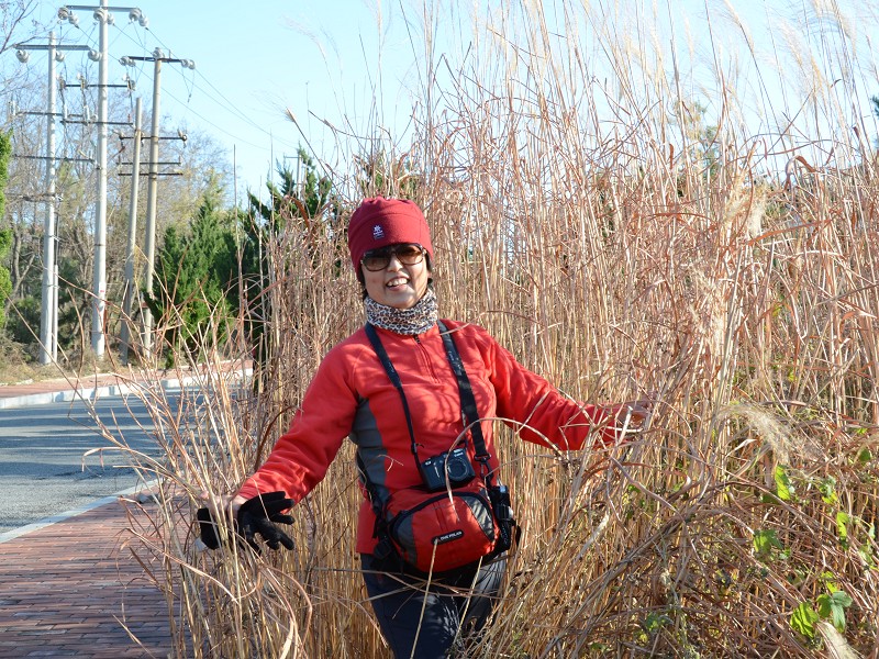 PhotoCap_145.jpg