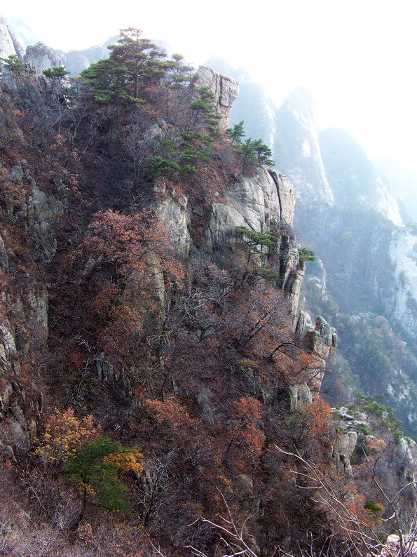 122_6393_缩小大小.JPG
