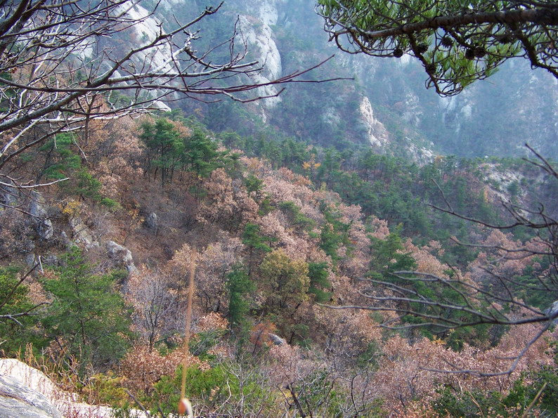 122_6413_缩小大小.JPG