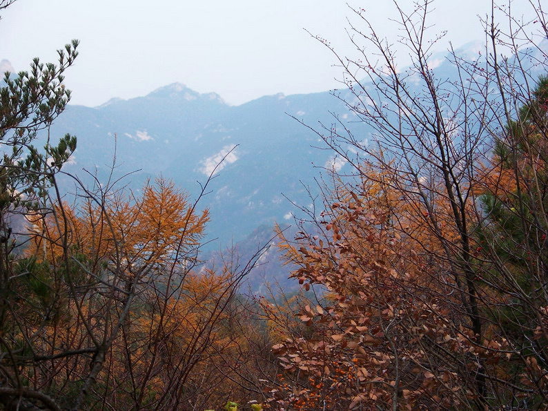 122_6412_缩小大小.jpg