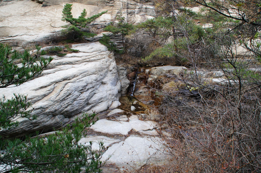 DSC05189.JPG