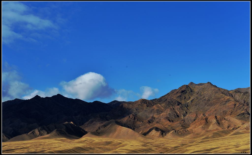 DSC_6263.jpg