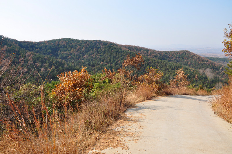 路与山峦.jpg