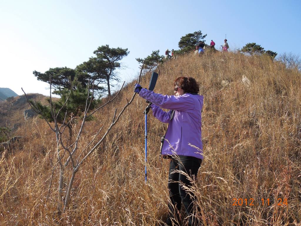 DSCN4236.jpg