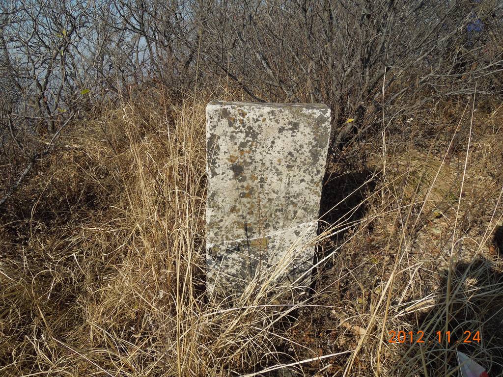 DSCN4295.jpg