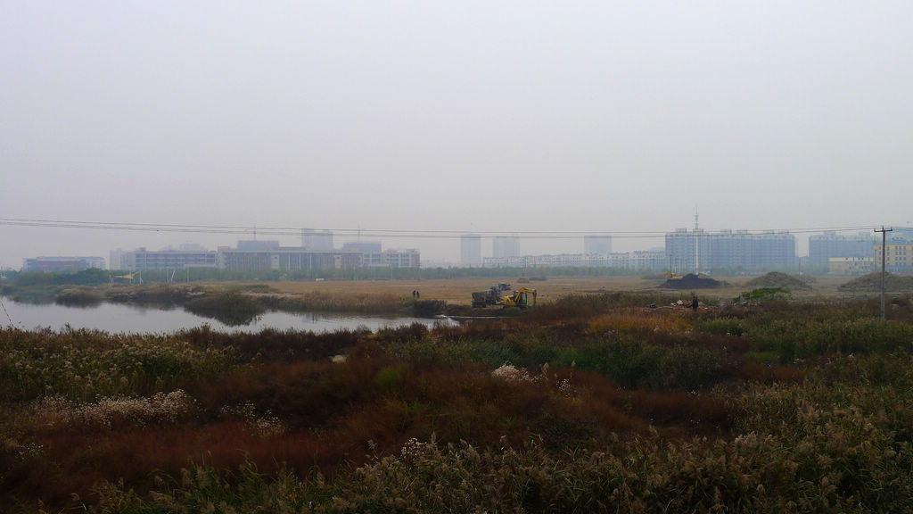 P1020626.JPG