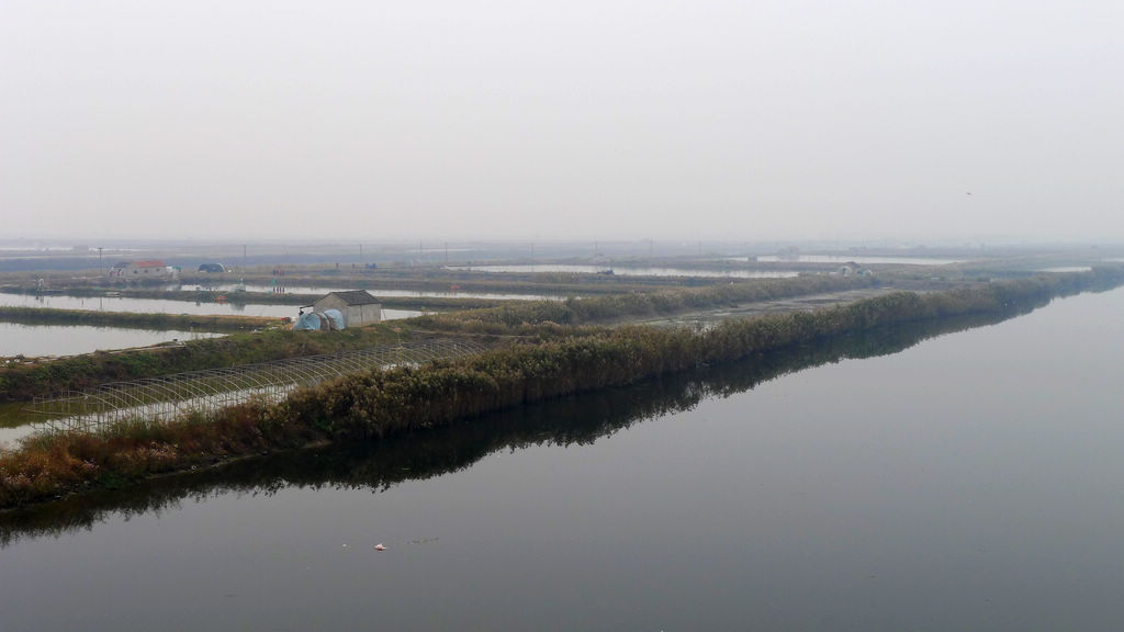 P1020663.JPG