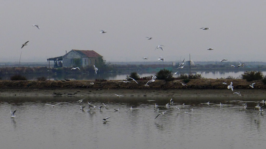 P1020683.JPG