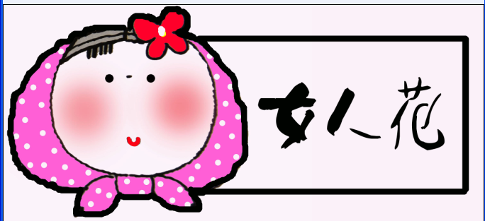 QQ1.png