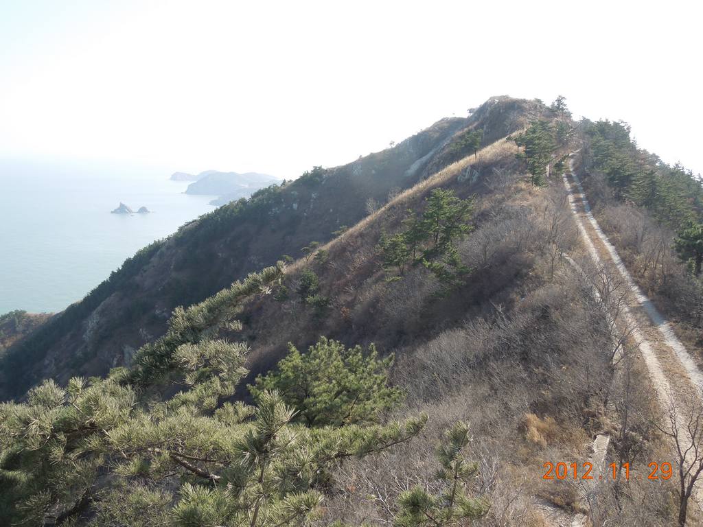 DSCN4444.jpg