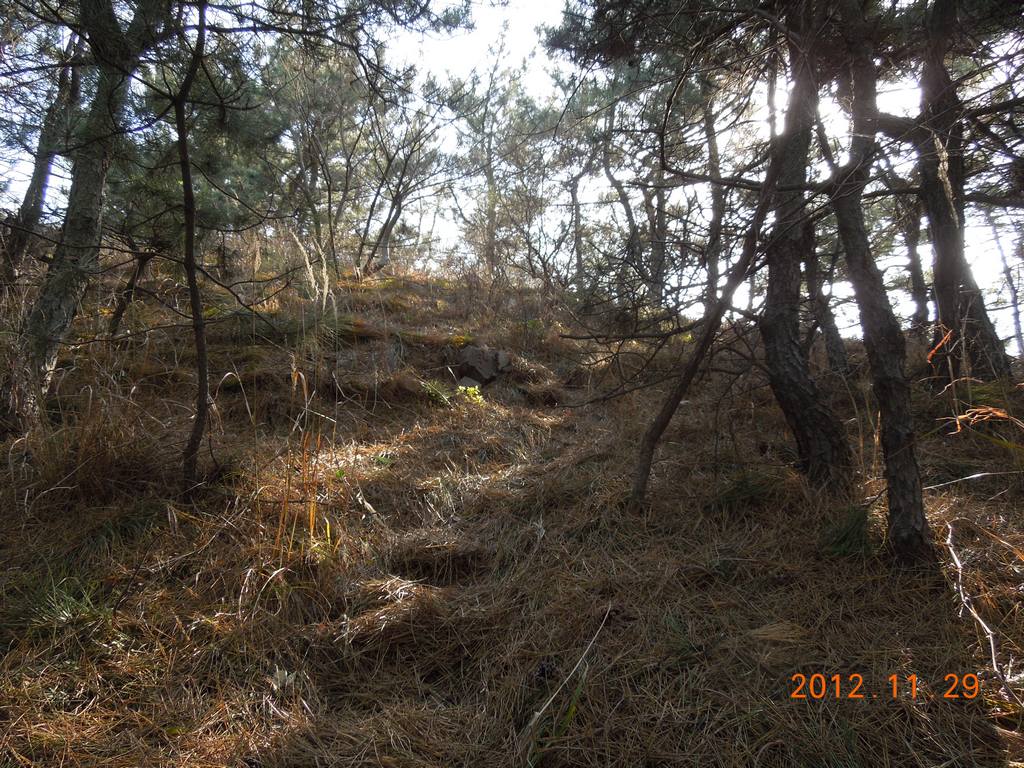 DSCN4456.jpg