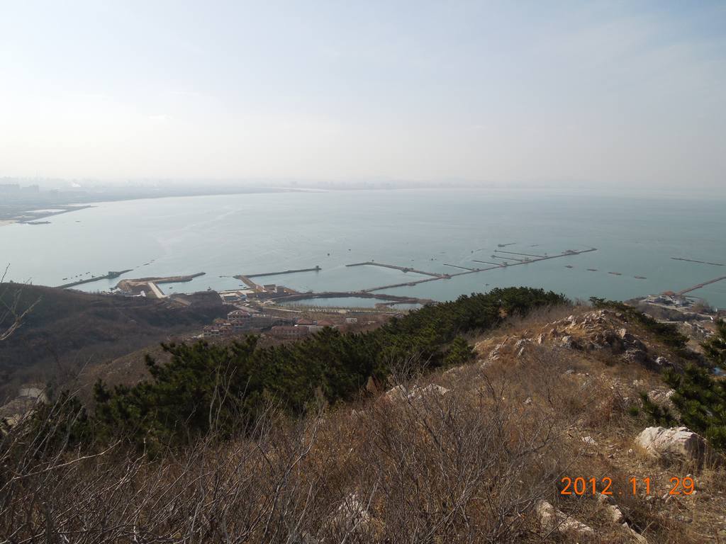 DSCN4464.jpg