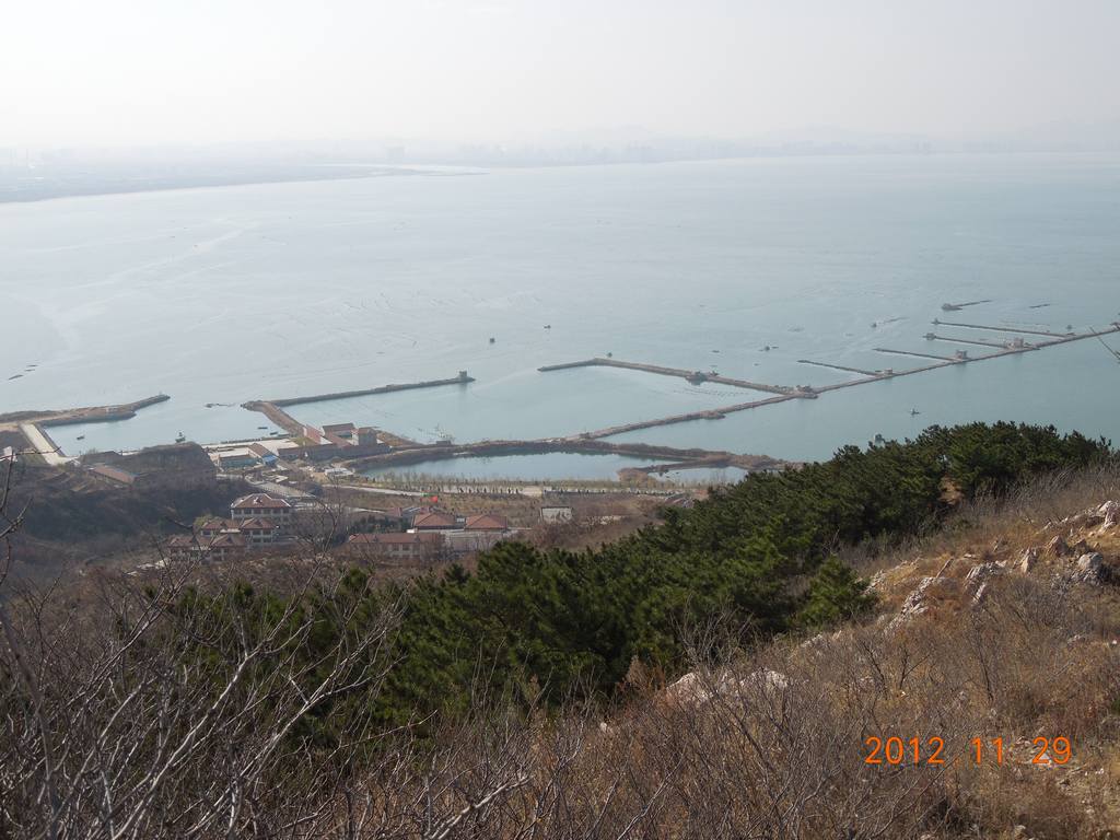 DSCN4463.jpg