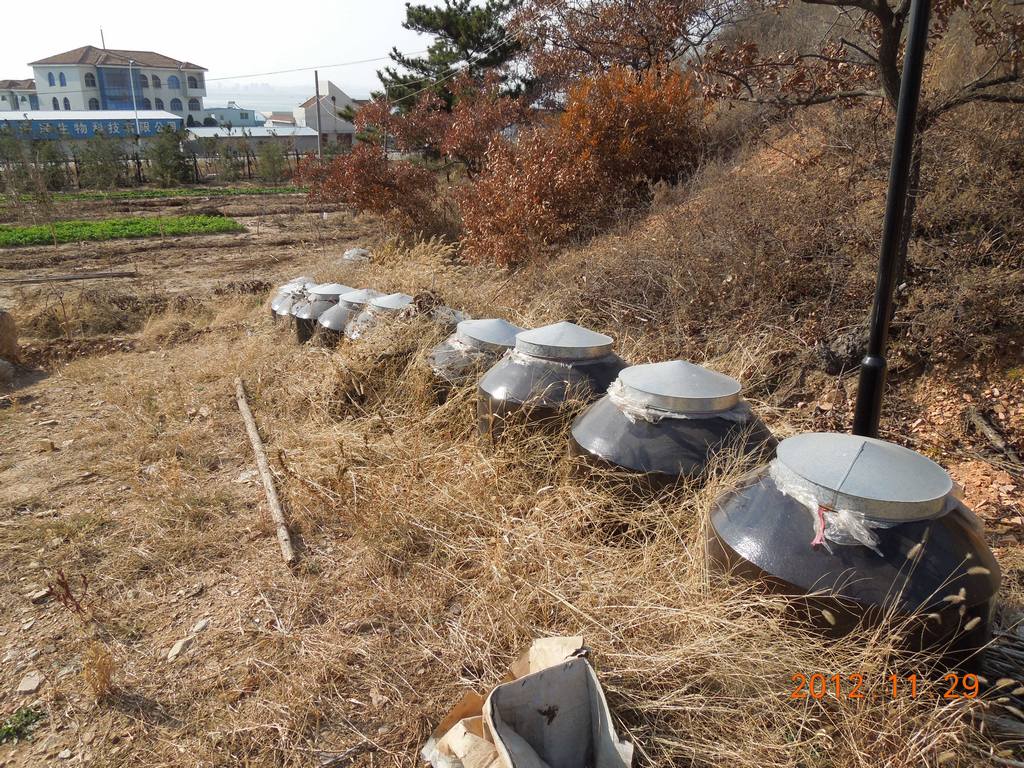 DSCN4474.jpg