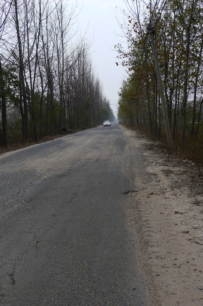 P1020748.JPG