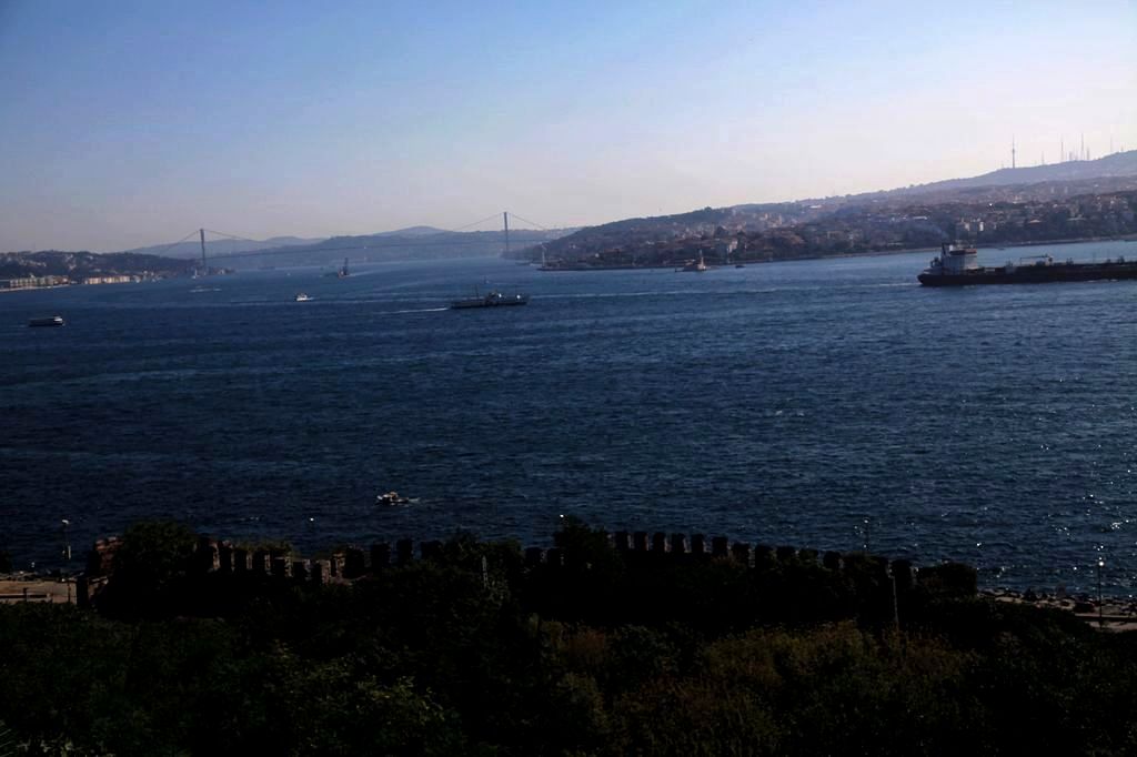 nEO_IMG__MG_1491.jpg