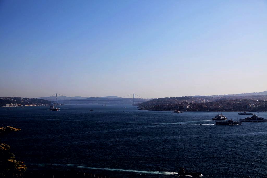 nEO_IMG__MG_1487.jpg