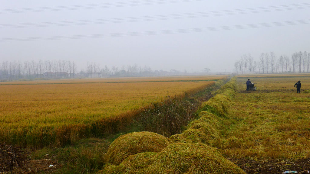 P1020765.JPG