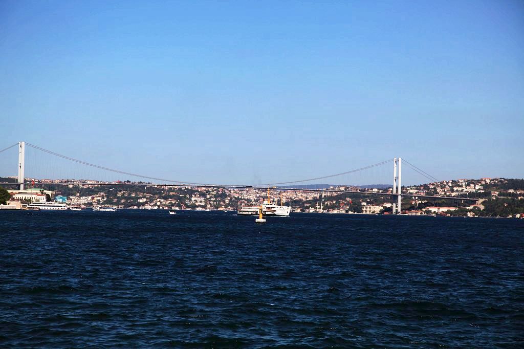 nEO_IMG__MG_1582.jpg