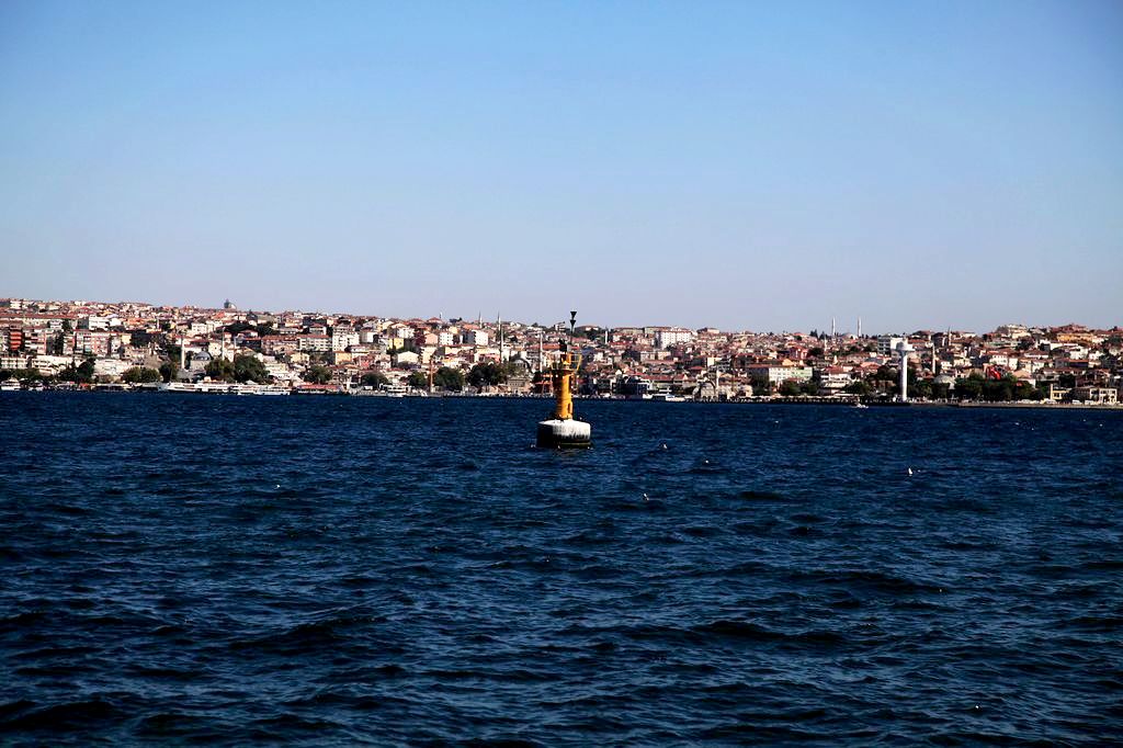 nEO_IMG__MG_1591.jpg