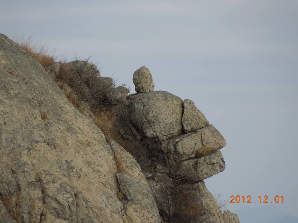 DSCN4617.jpg