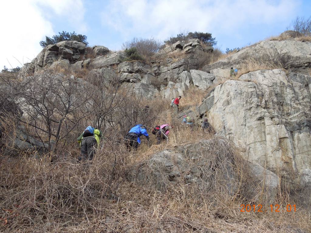DSCN4618.jpg