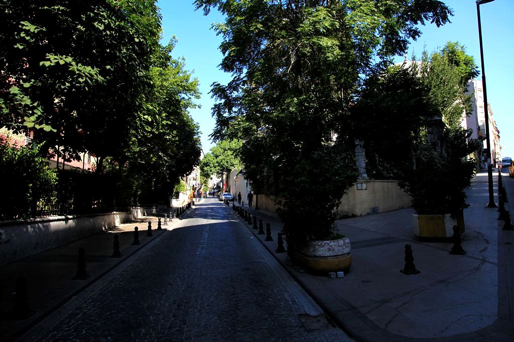 nEO_IMG__MG_1732.jpg
