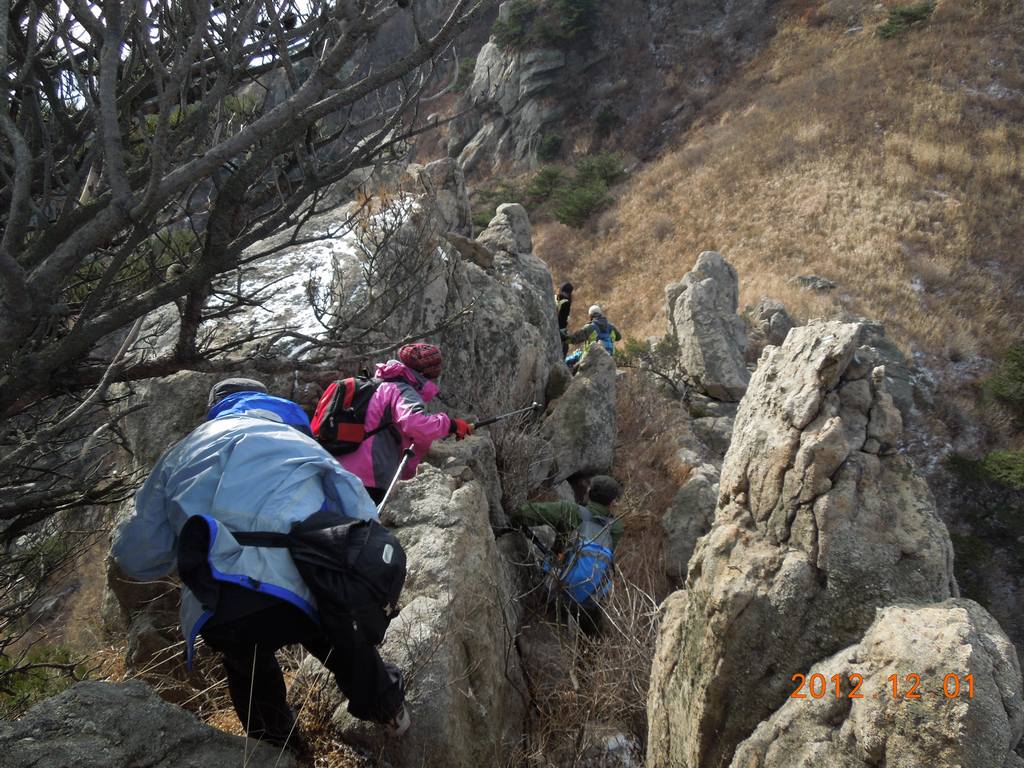 DSCN4672.jpg