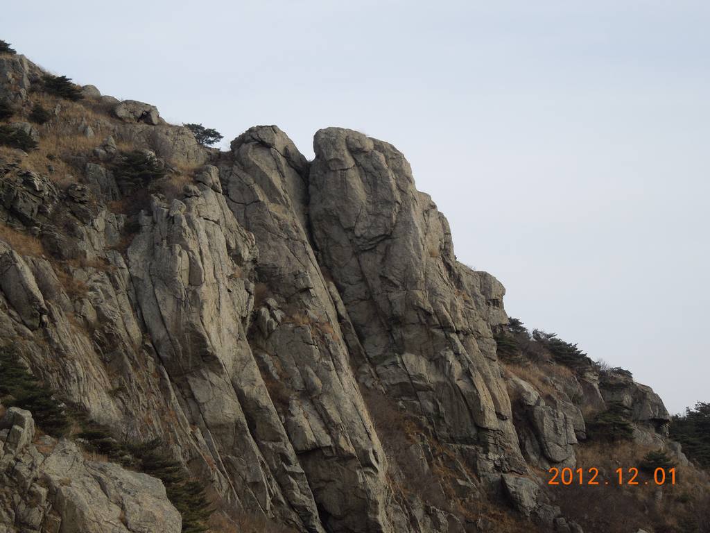 DSCN4711.jpg