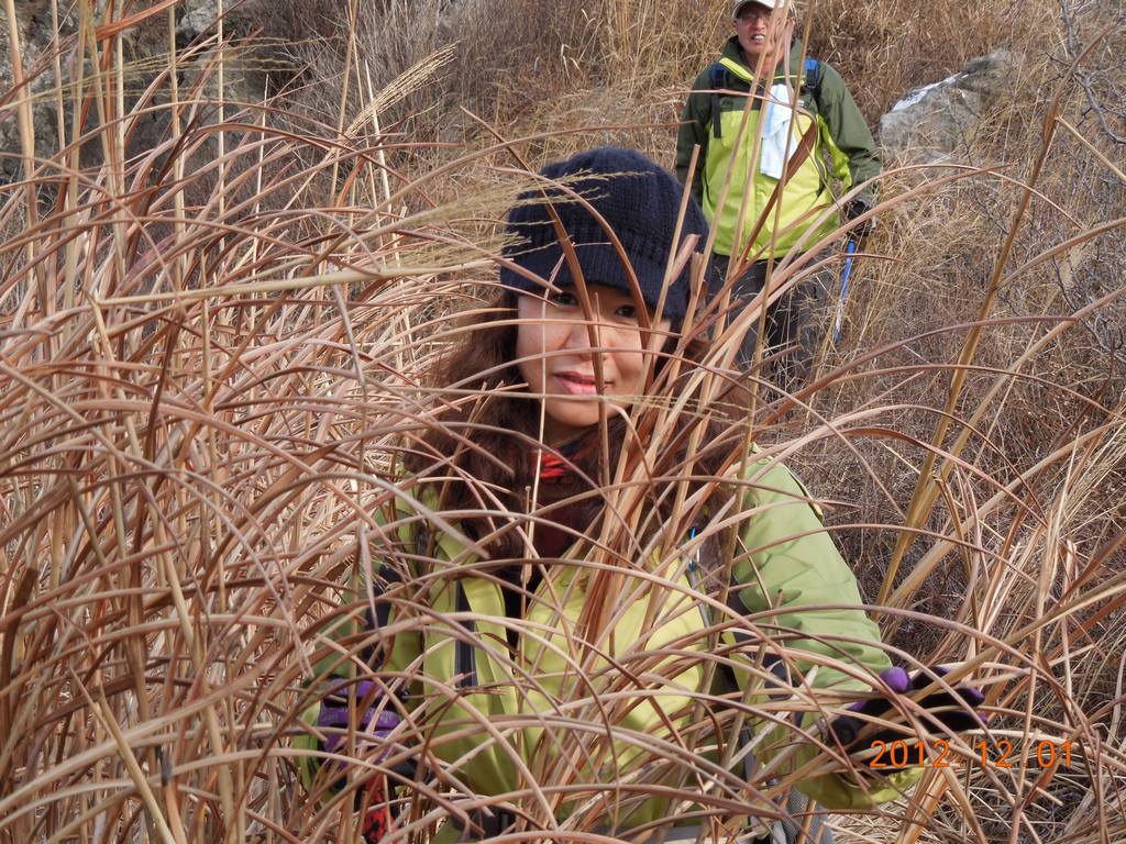 DSCN4754.jpg