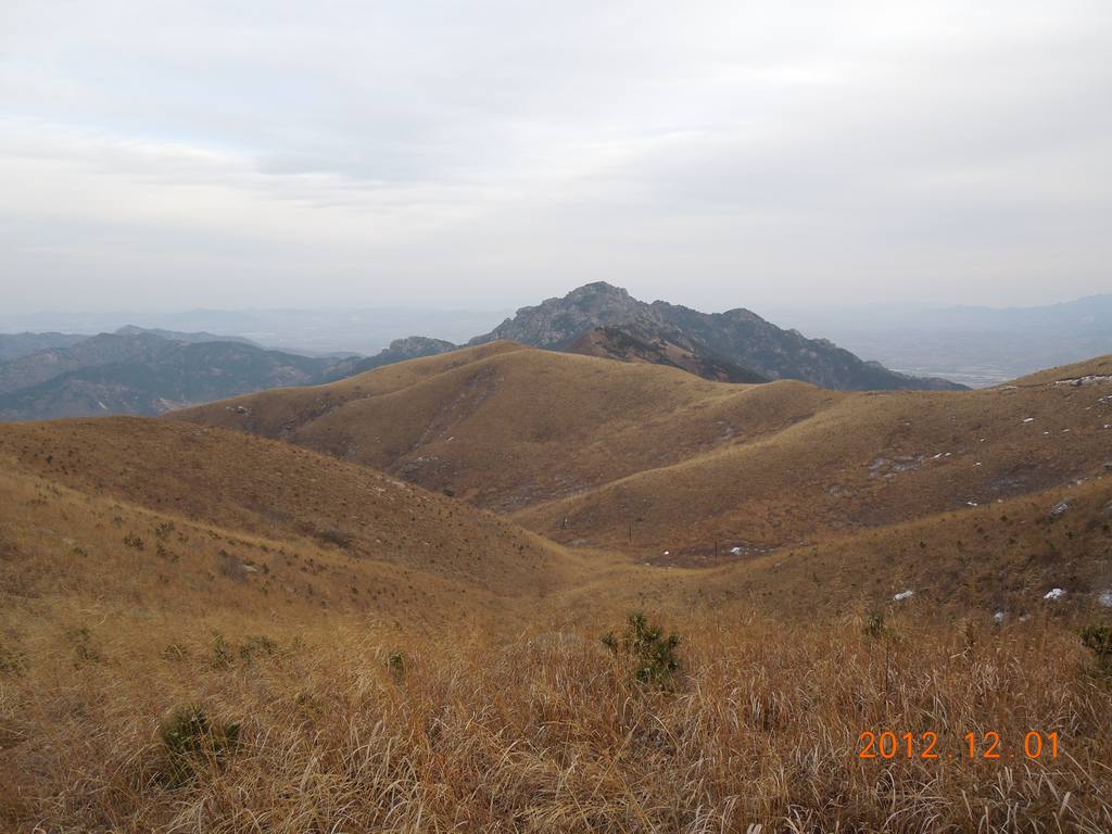 DSCN4822.jpg