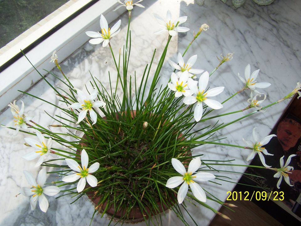 100_7440.jpg