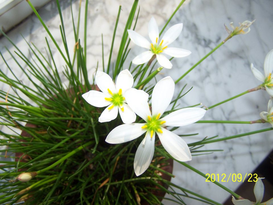 100_7441.jpg