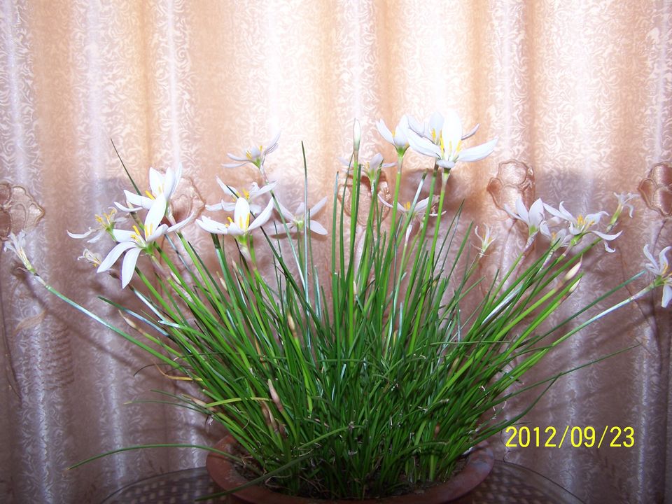 100_7445.jpg
