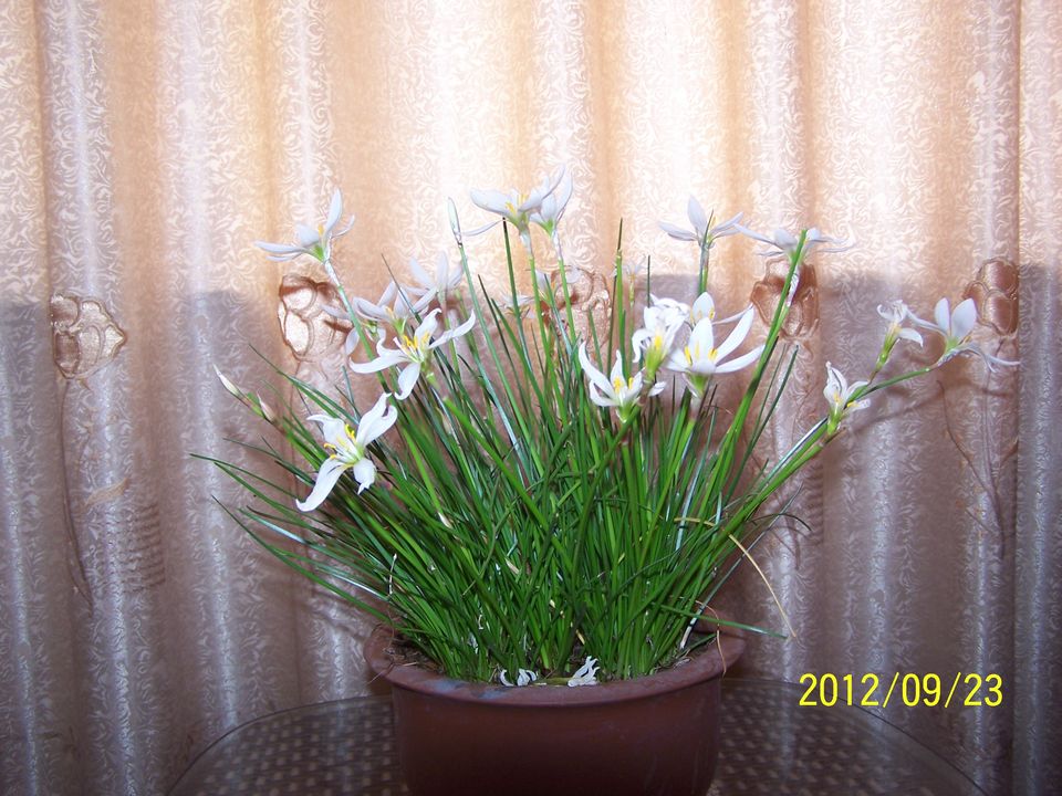 100_7444.jpg