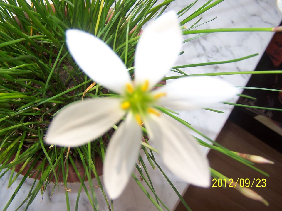 100_7443.jpg