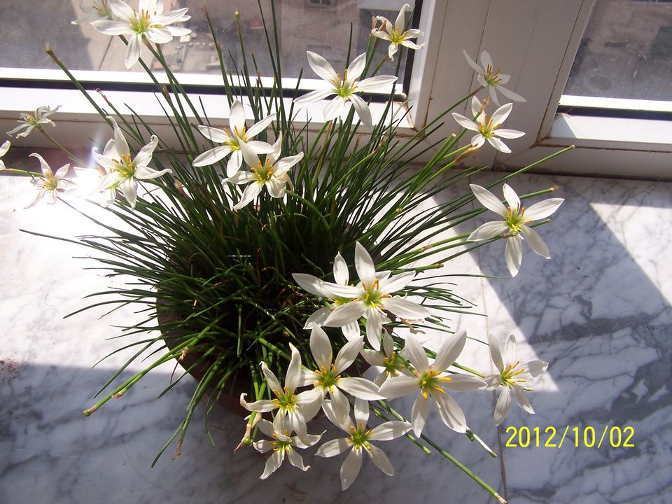 100_7603.jpg