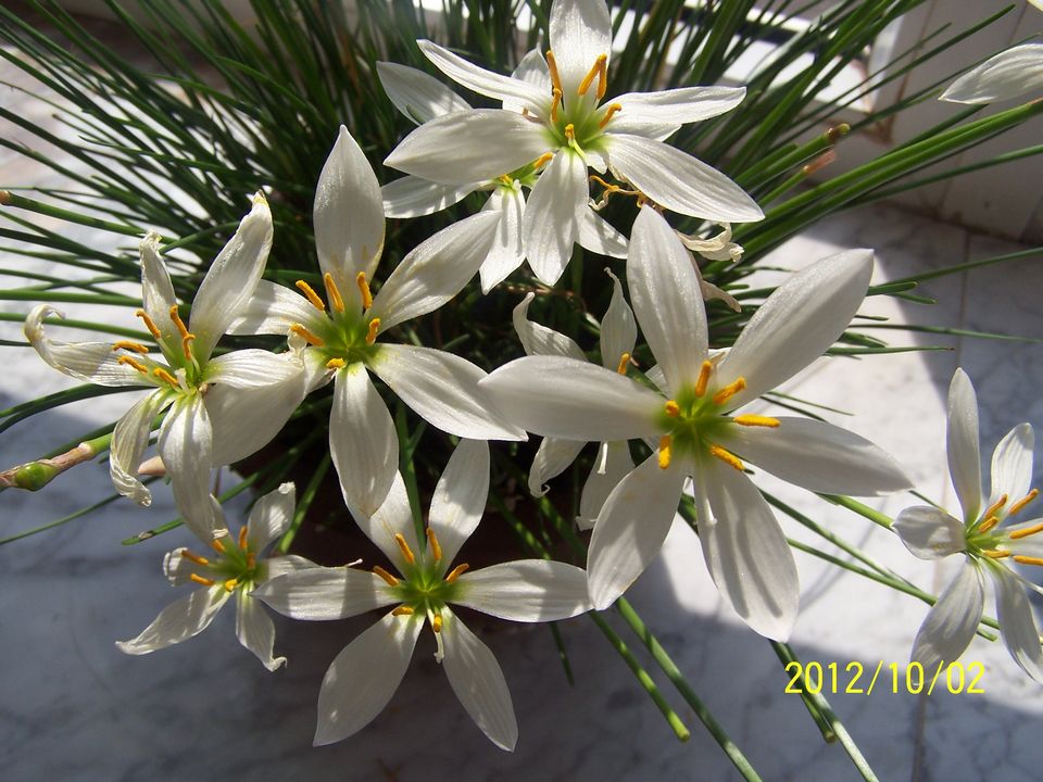 100_7604.jpg