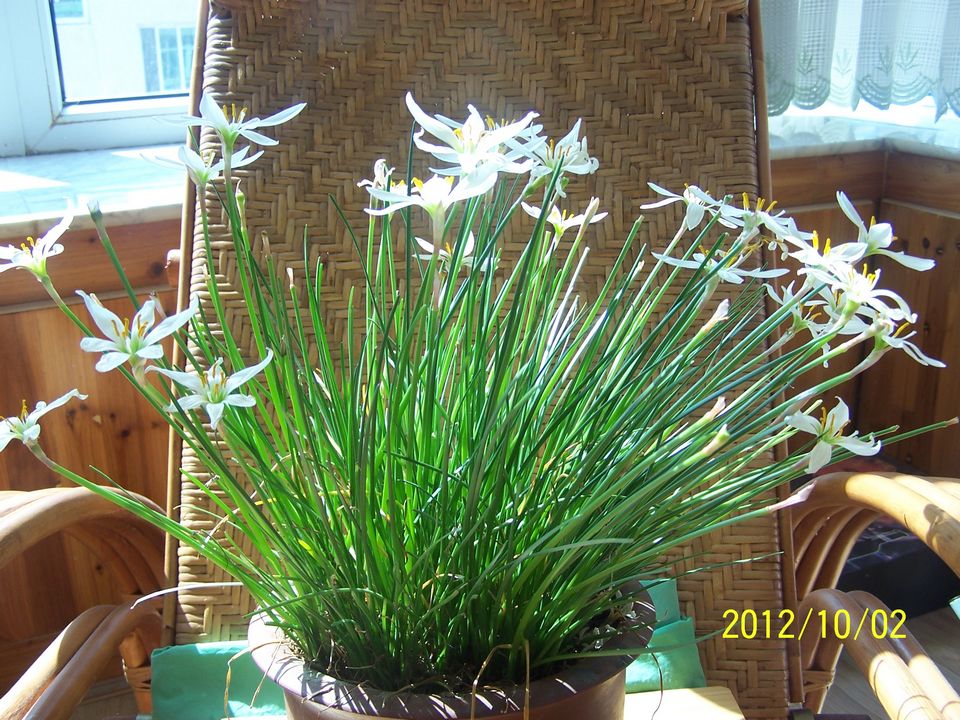 100_7607.jpg