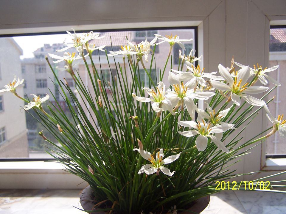 100_7605.jpg