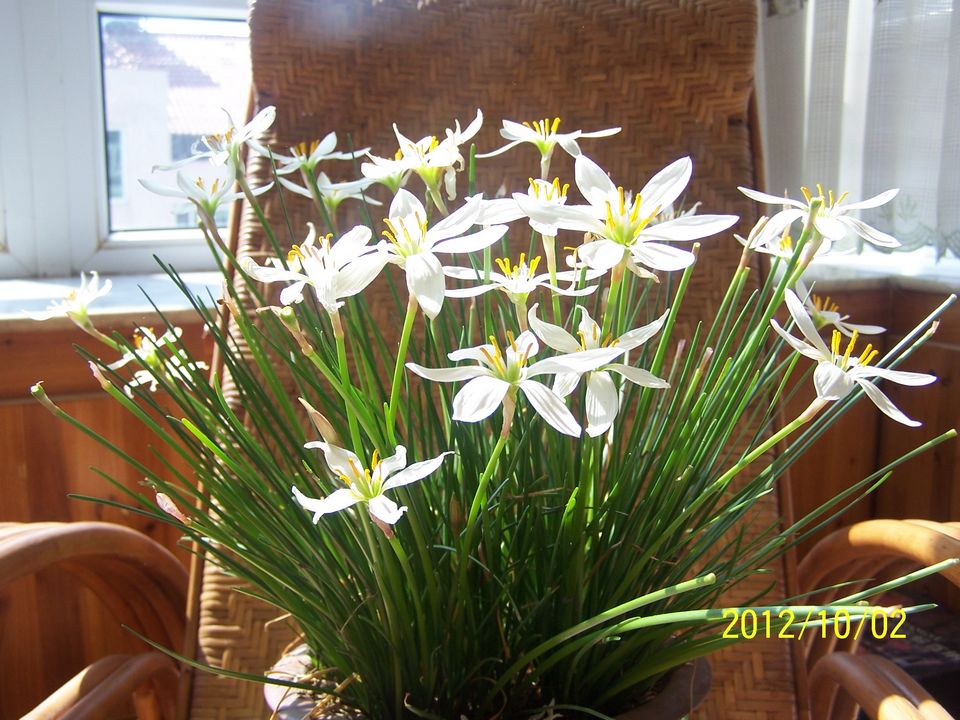 100_7606.jpg