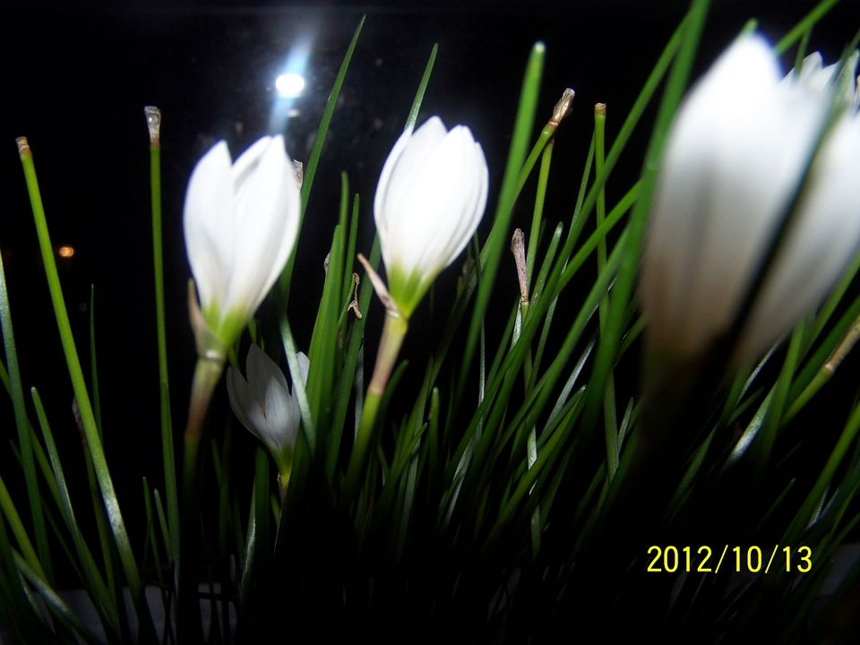 100_7612.jpg