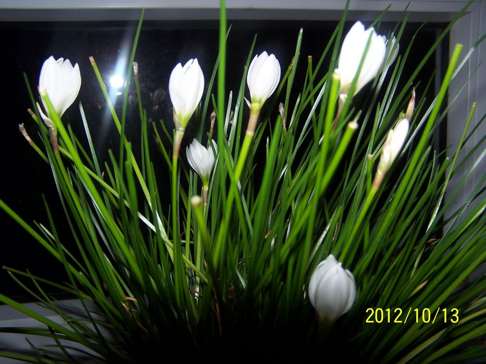 100_7611.jpg