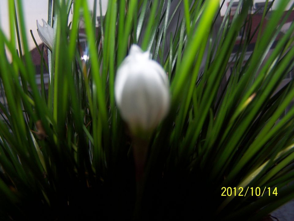 100_7615.jpg