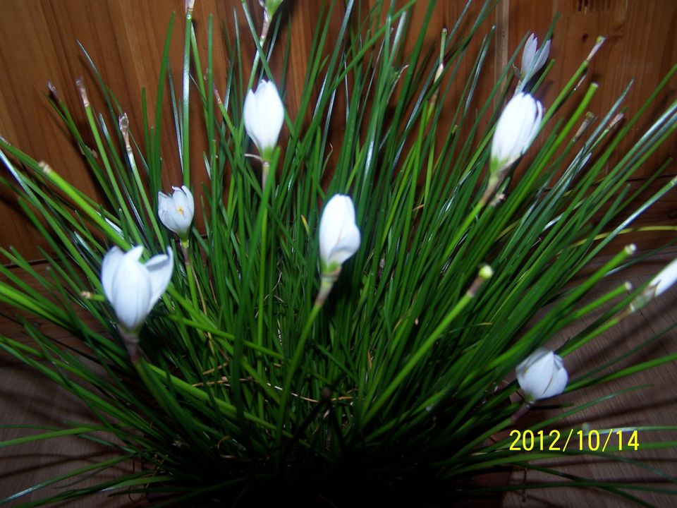 100_7618.jpg