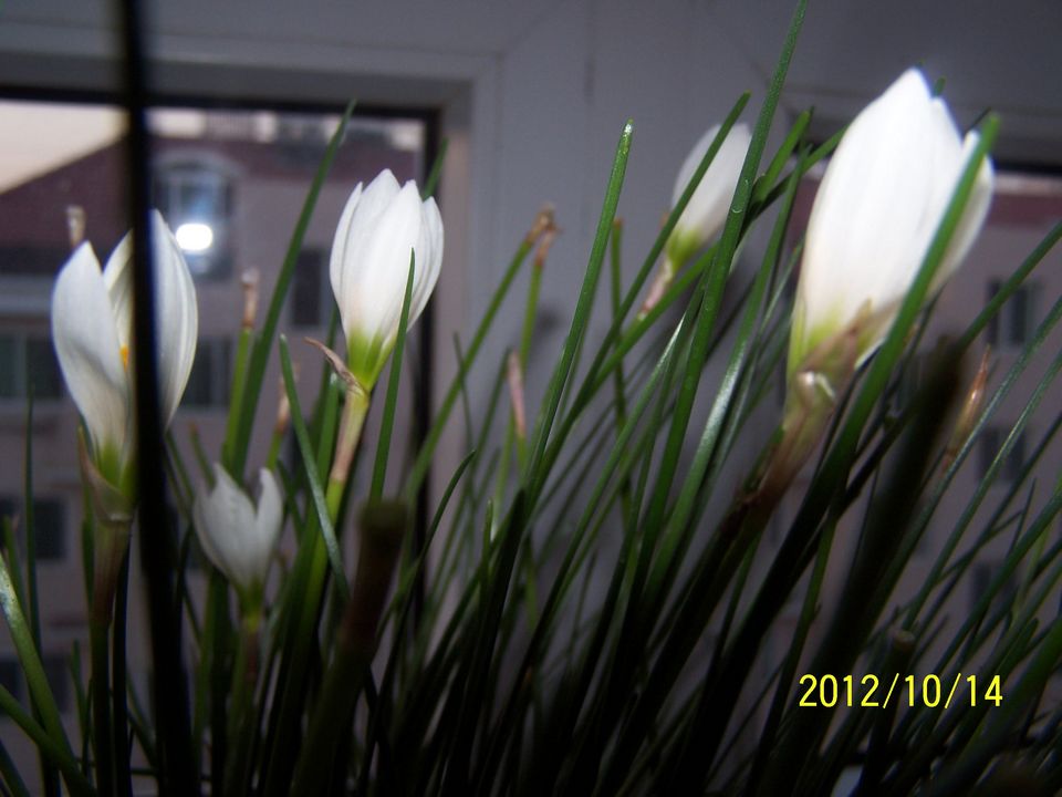 100_7616.jpg