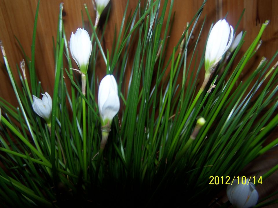 100_7622.jpg