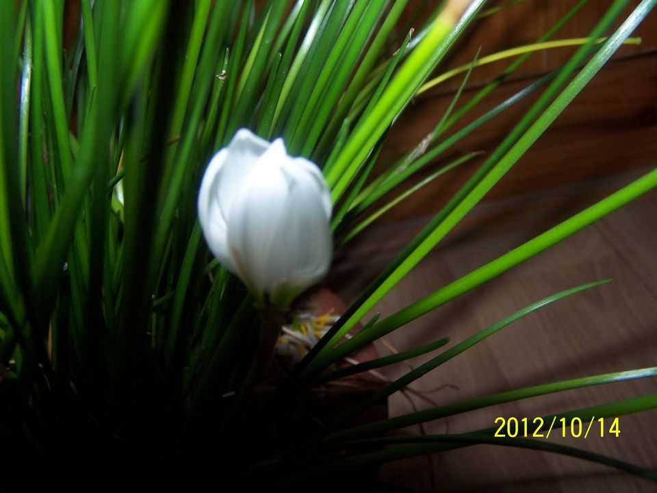 100_7623.jpg